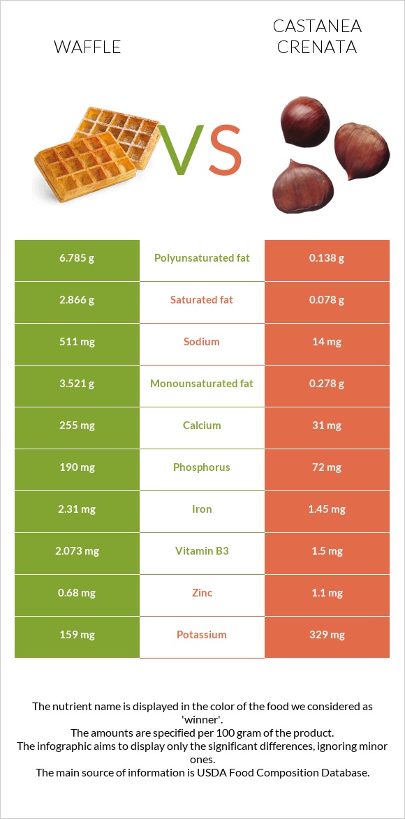 Waffle vs Castanea crenata infographic