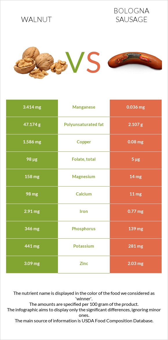 Walnut vs Bologna sausage infographic