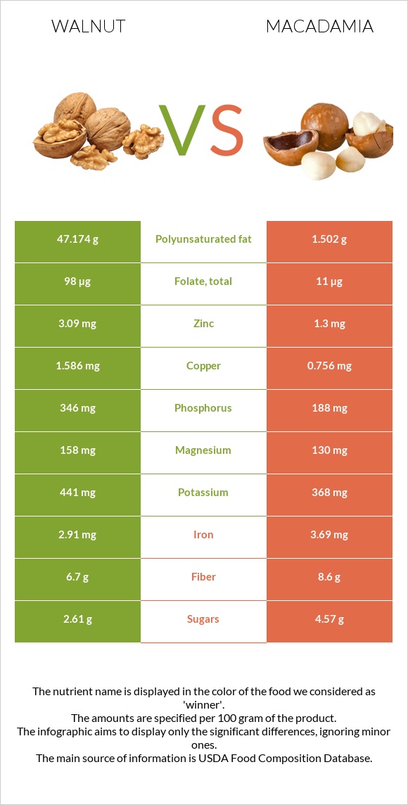 Walnut vs Macadamia infographic