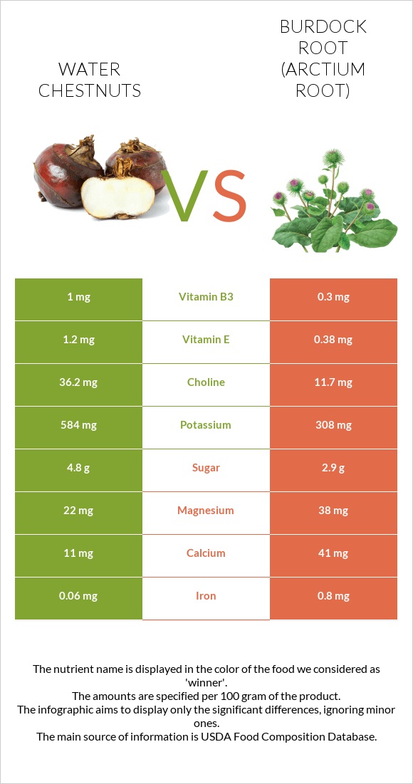 Water chestnuts vs Կռատուկի արմատ (արկտի արմատ) infographic