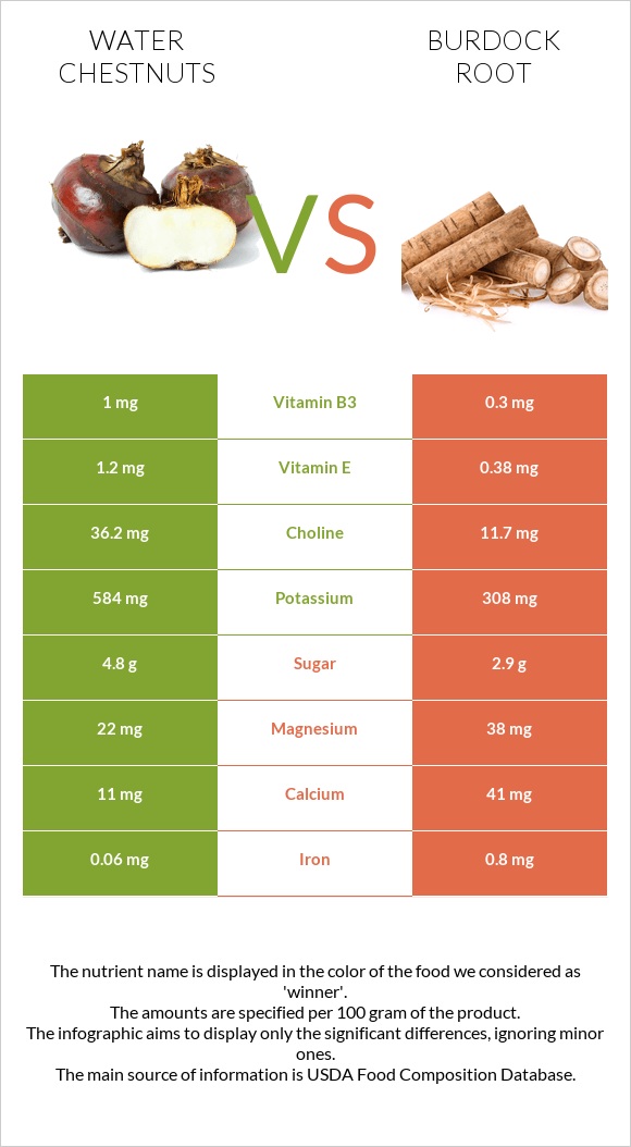 Water chestnuts vs Կռատուկի արմատ (արկտի արմատ) infographic