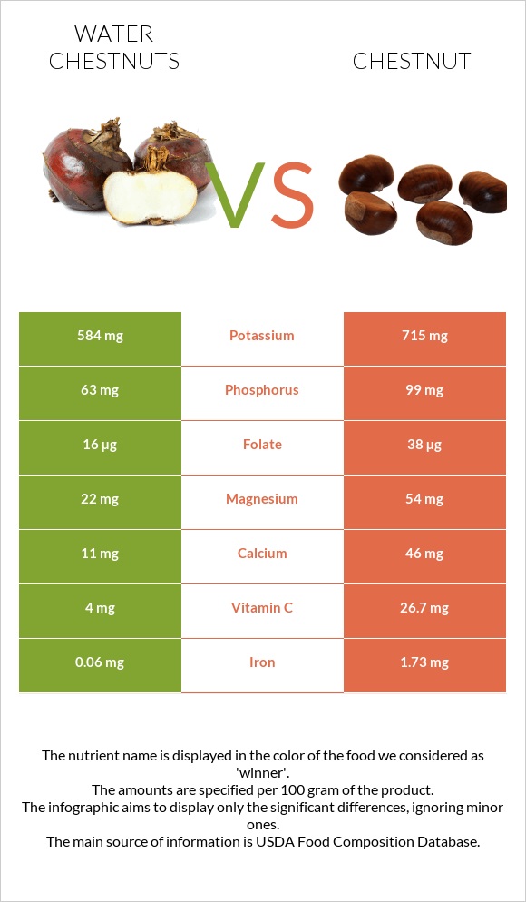 Water chestnuts vs Chestnut infographic