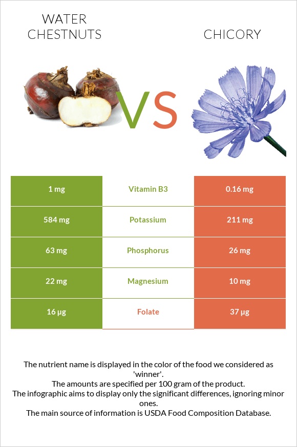 Water chestnuts vs Chicory infographic