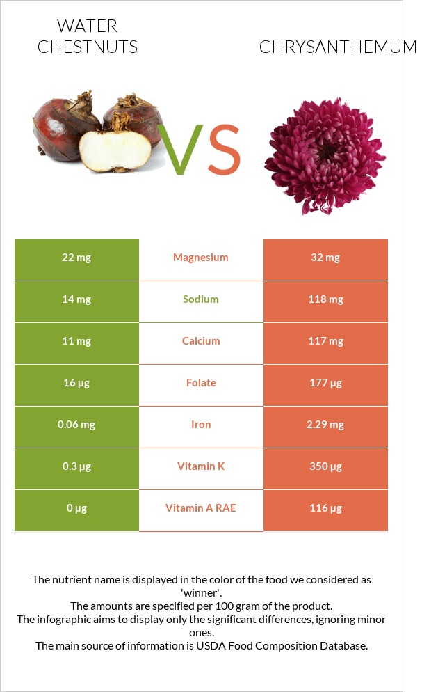 Water chestnuts vs Chrysanthemum infographic