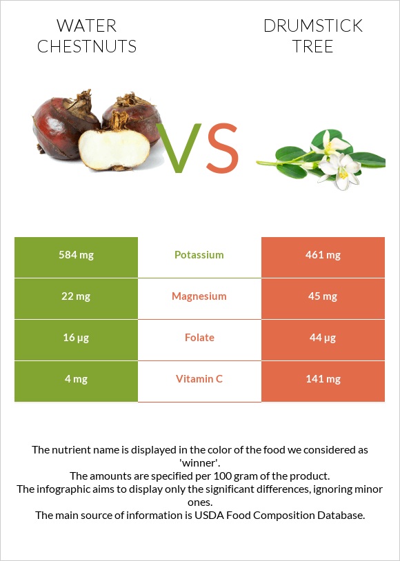 Water chestnuts vs Drumstick tree infographic