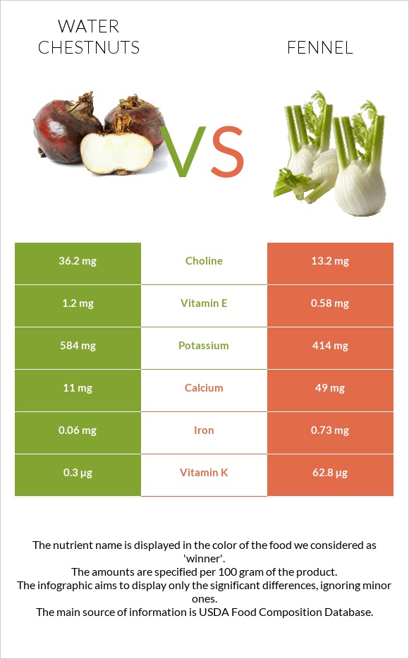 Water chestnuts vs Ֆենխել infographic