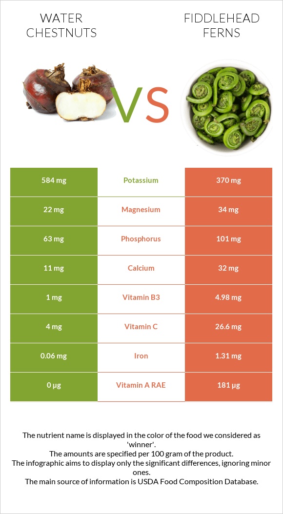 Water chestnuts vs Fiddlehead ferns infographic