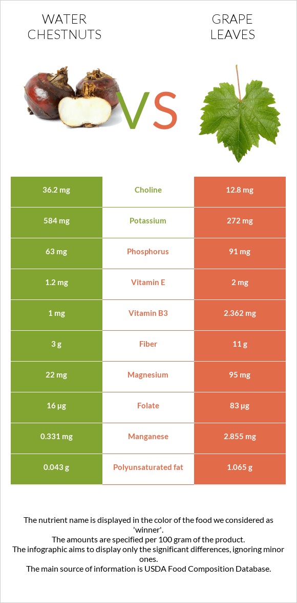 Water chestnuts vs Խաղողի թուփ infographic