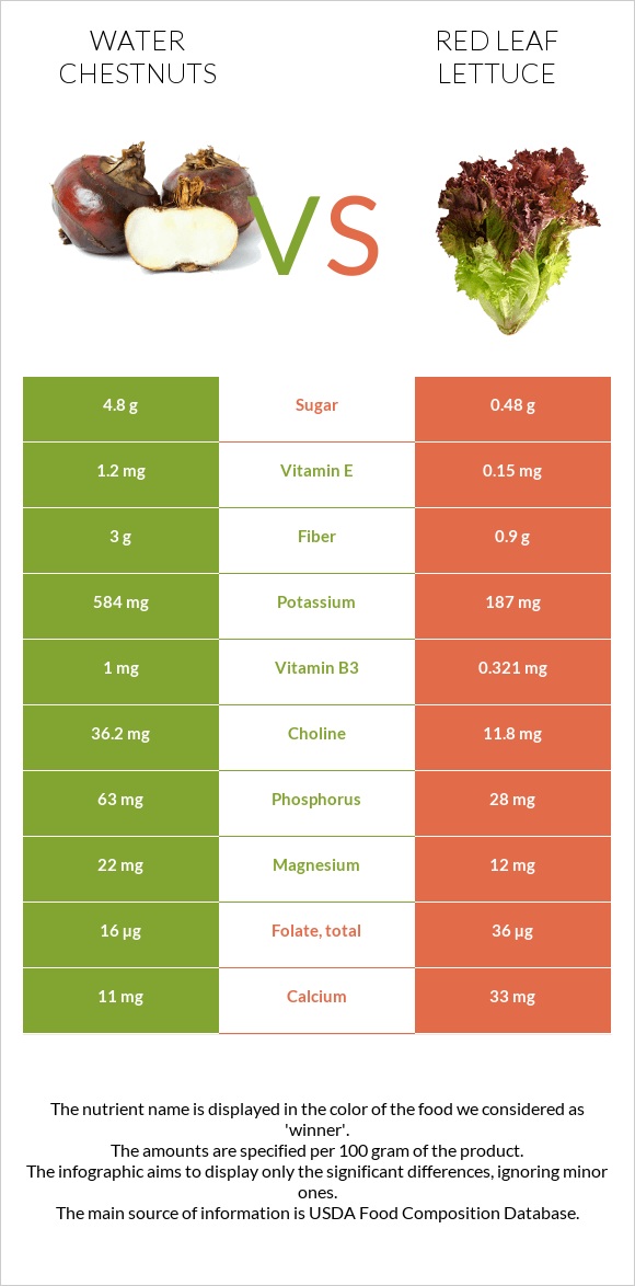 Water chestnuts vs Red leaf lettuce infographic