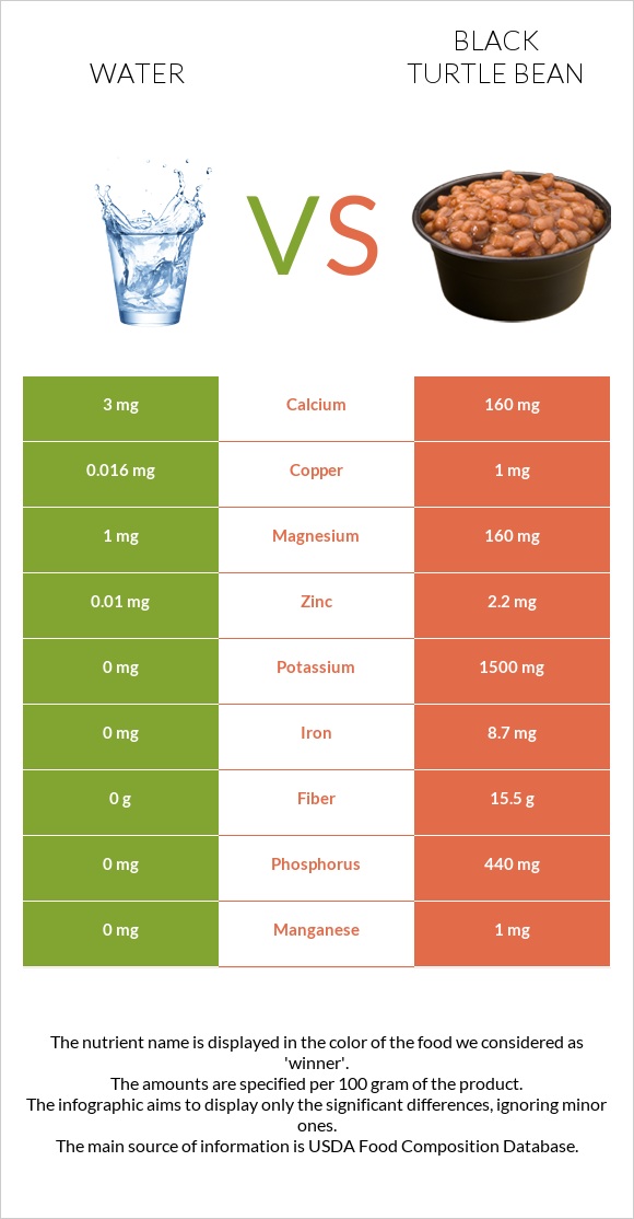 Water vs Black turtle bean infographic