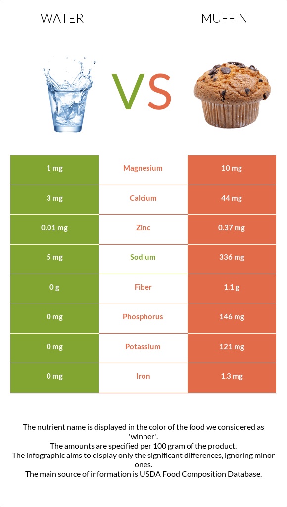 Water vs Muffin infographic