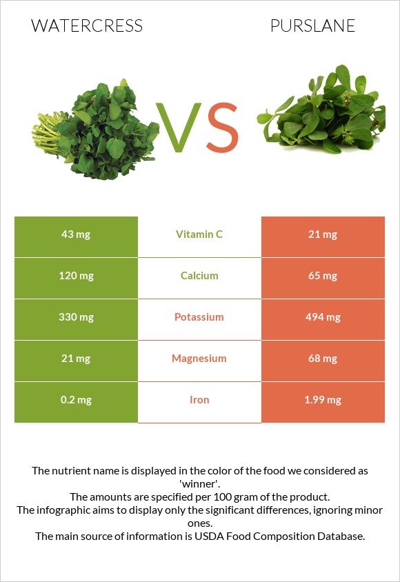 Watercress vs Purslane infographic