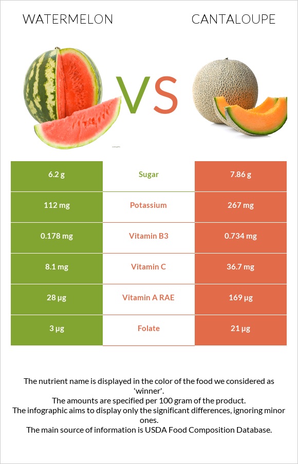 Watermelon vs Cantaloupe infographic