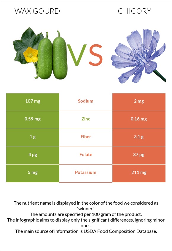 Wax gourd vs Chicory infographic