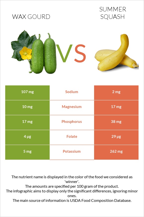 Wax gourd vs Summer squash infographic