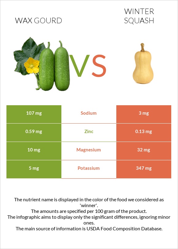 Wax gourd vs Winter squash infographic