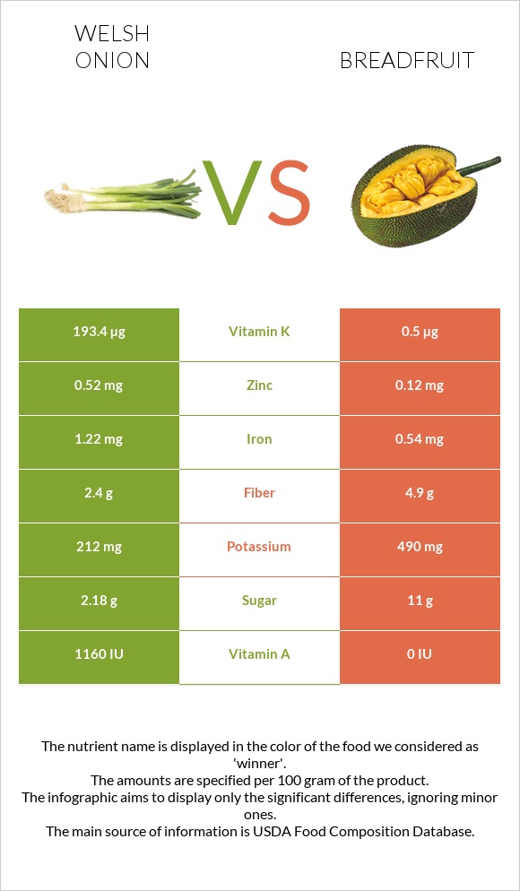 Welsh onion vs Breadfruit infographic