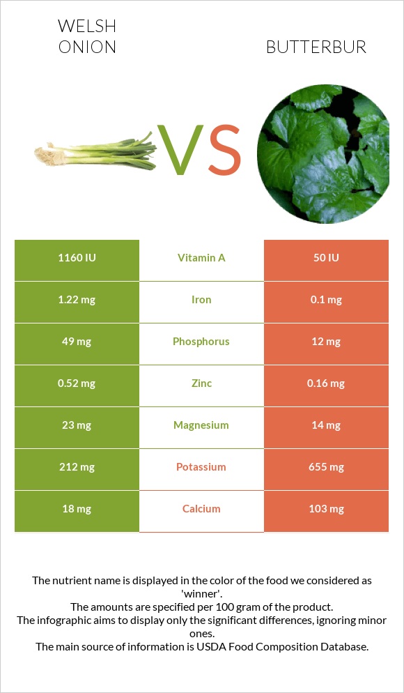 Welsh onion vs Butterbur infographic