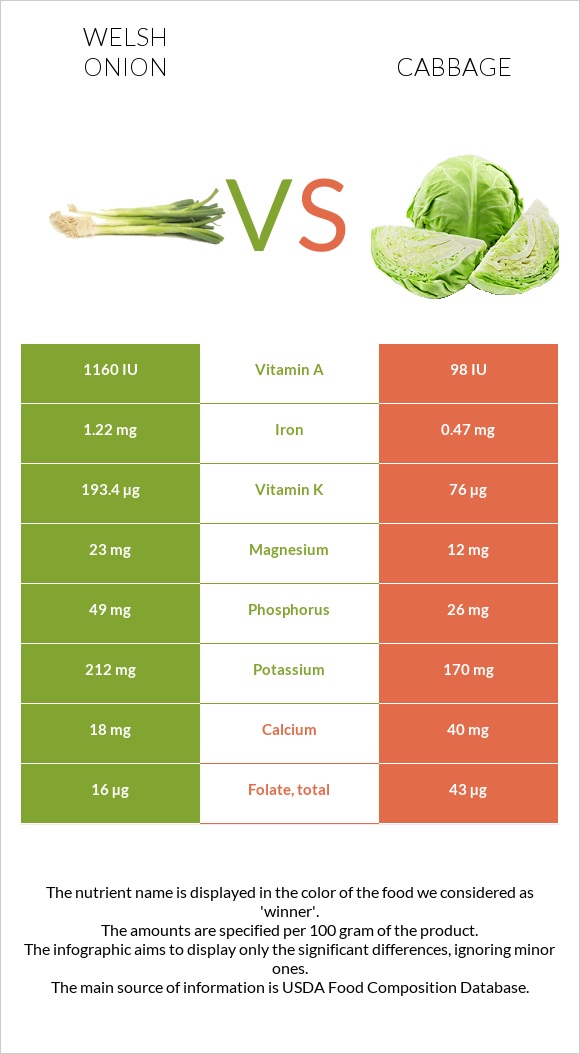 Welsh onion vs Cabbage infographic