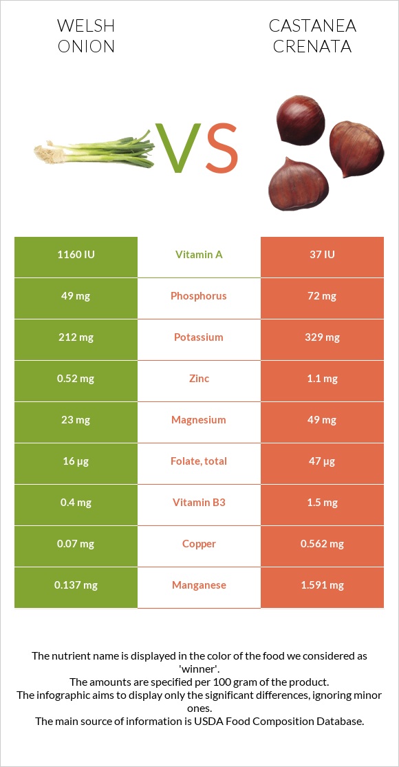 Welsh onion vs Castanea crenata infographic