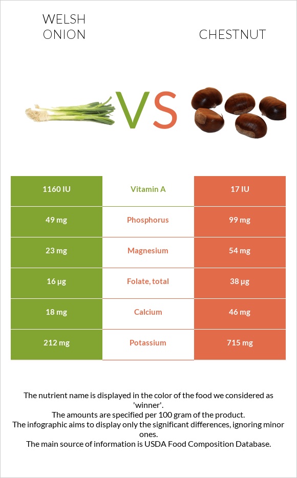 Welsh onion vs Chestnut infographic