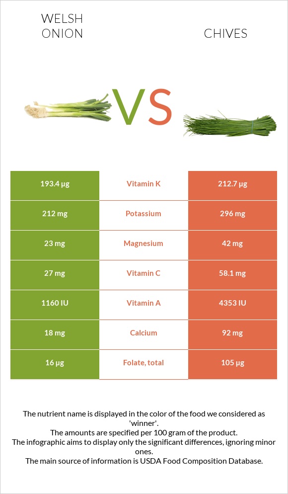 Welsh onion vs Chives infographic