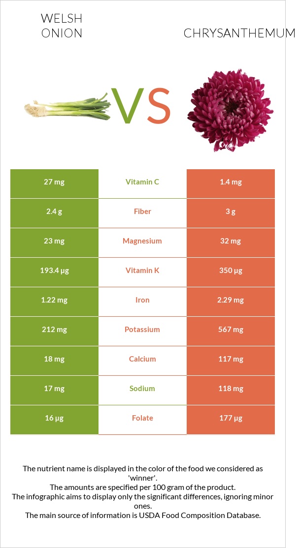 Welsh onion vs Chrysanthemum infographic