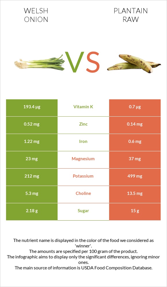 Welsh onion vs Plantain raw infographic