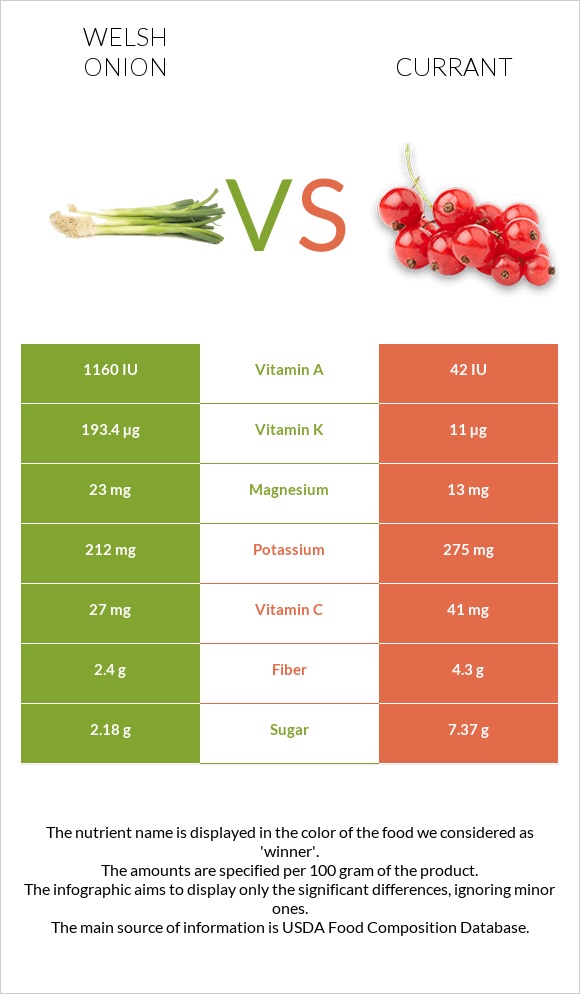 Welsh onion vs Currant infographic