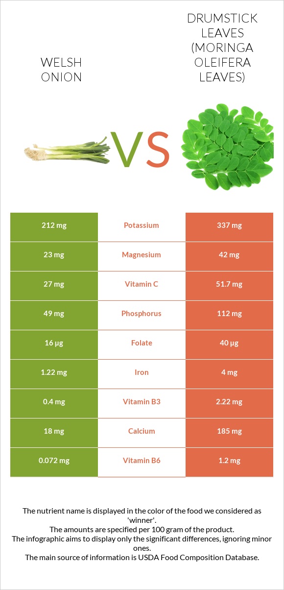 Welsh onion vs Drumstick leaves infographic