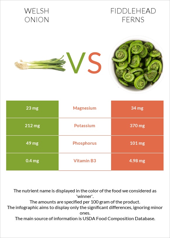 Welsh onion vs Fiddlehead ferns infographic