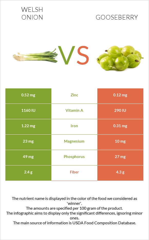 Welsh onion vs Gooseberry infographic