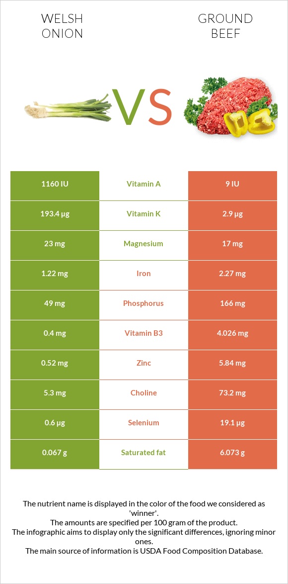 Welsh onion vs Ground beef infographic