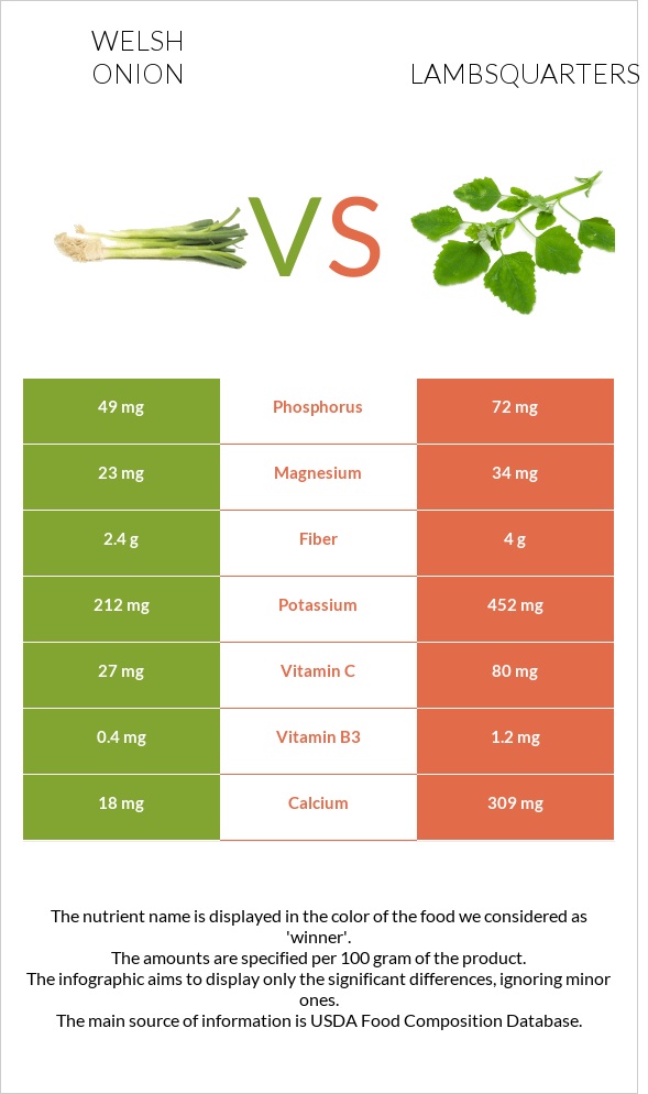 Welsh onion vs Lambsquarters infographic