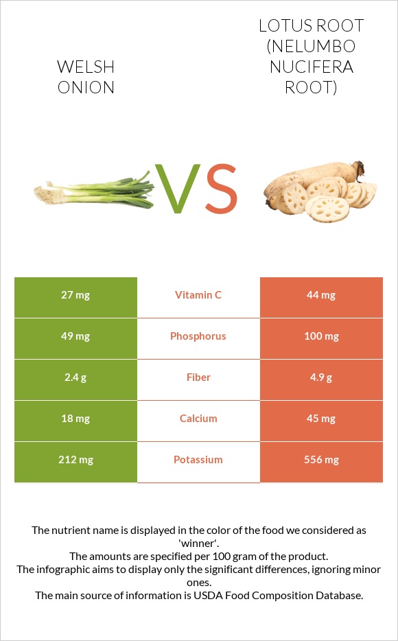 Welsh onion vs Lotus root infographic