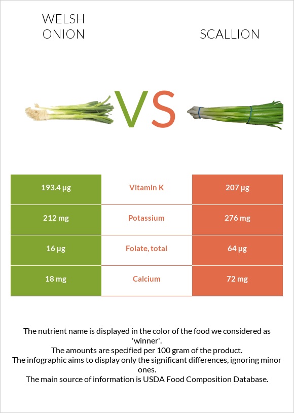 Welsh onion vs Scallion infographic