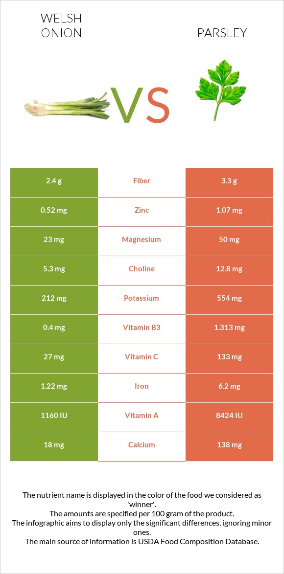 Սոխ բատուն vs Մաղադանոս infographic