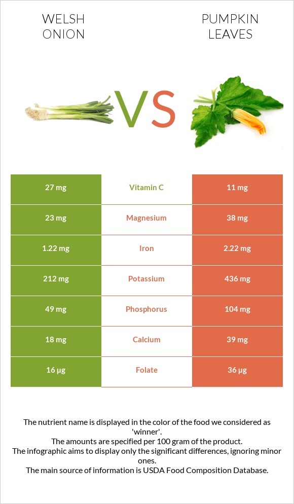 Welsh onion vs Pumpkin leaves infographic