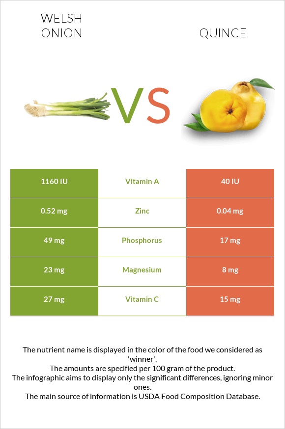 Welsh onion vs Quince infographic