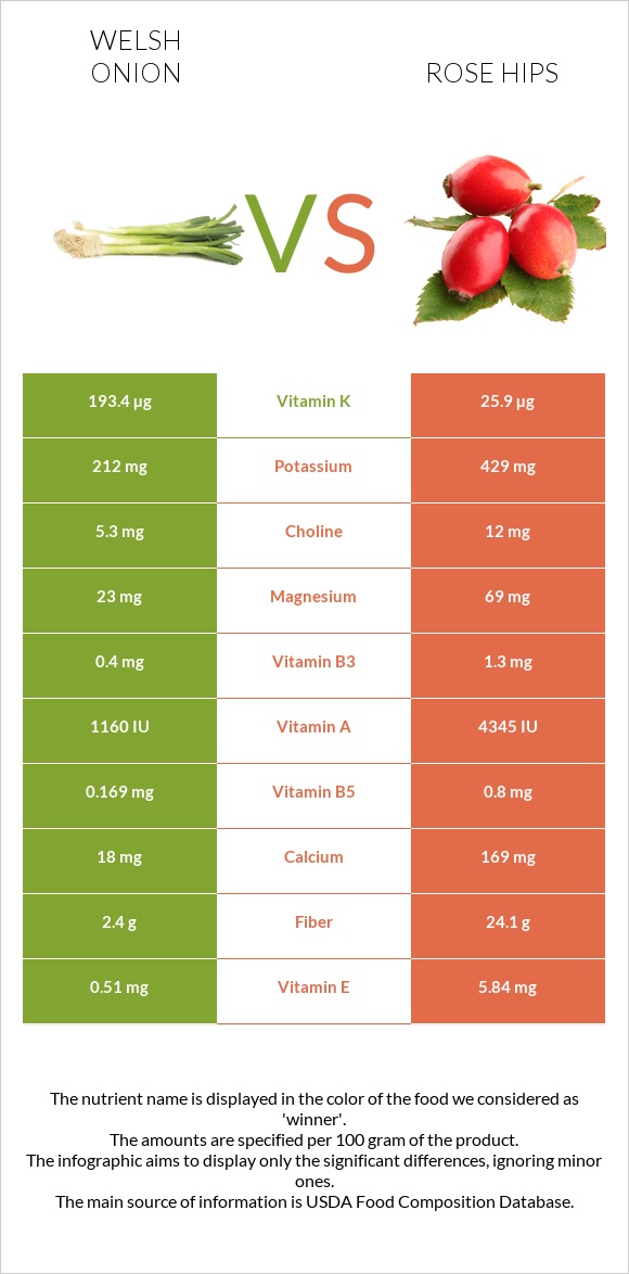Welsh onion vs Rose hips infographic