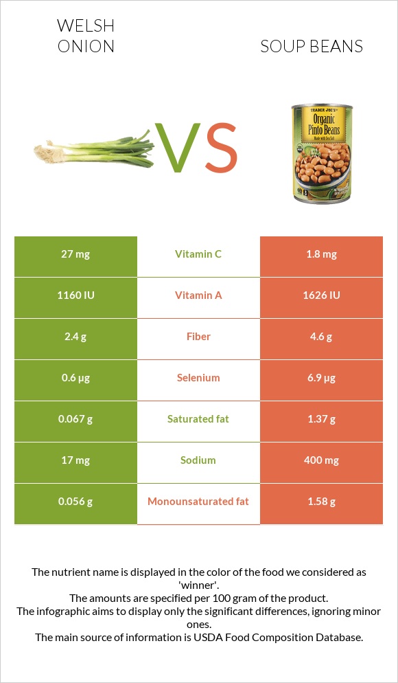 Welsh onion vs Soup beans infographic