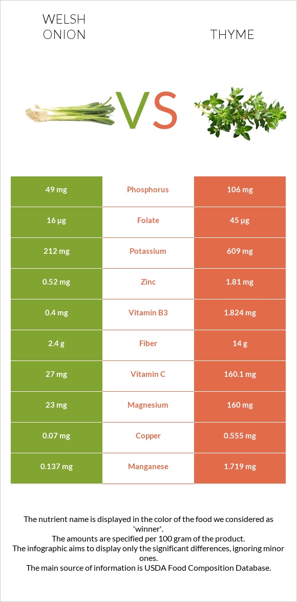 Welsh onion vs Thyme infographic