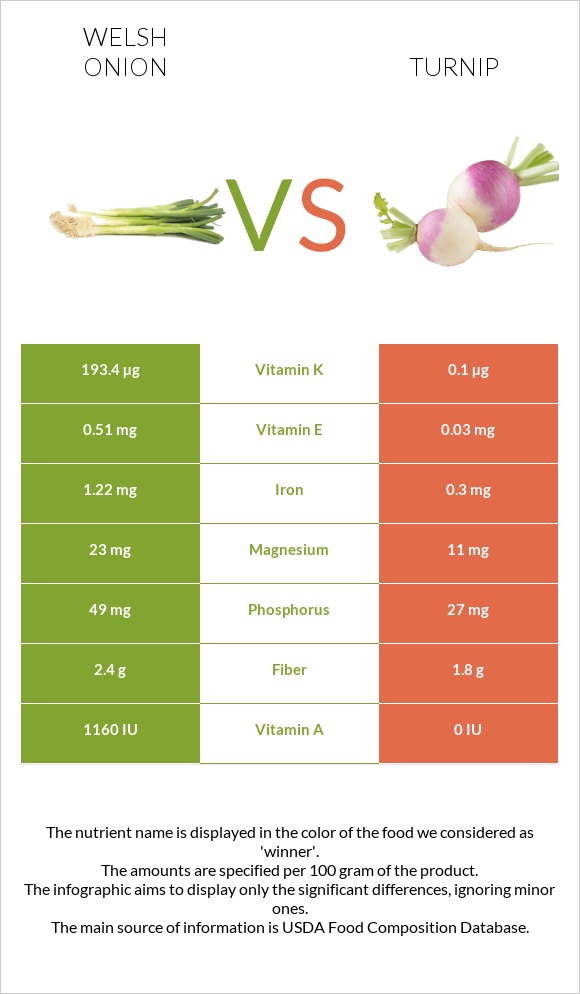 Welsh onion vs Turnip infographic