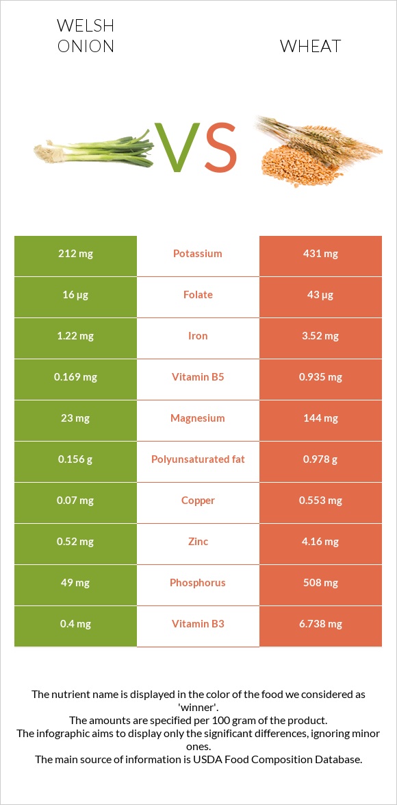 Welsh onion vs Wheat infographic