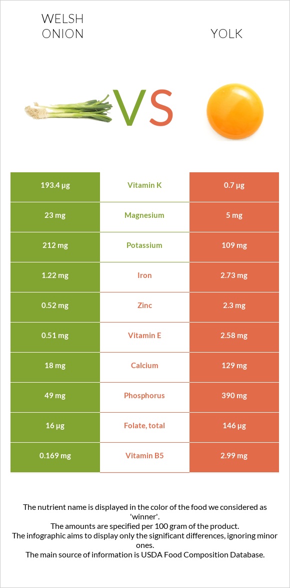 Welsh onion vs Yolk infographic