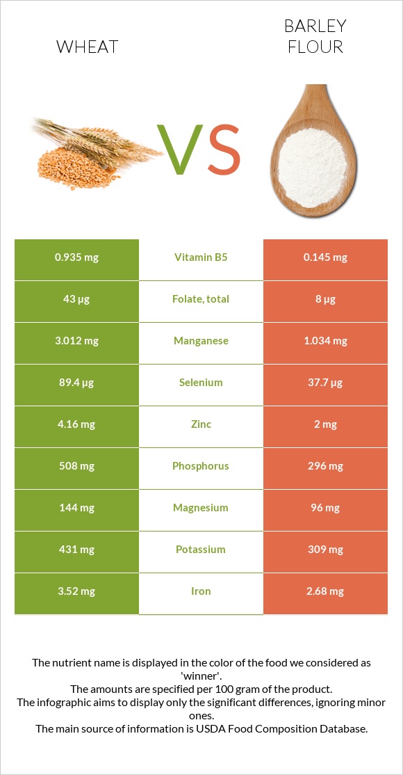 Wheat  vs Barley flour infographic