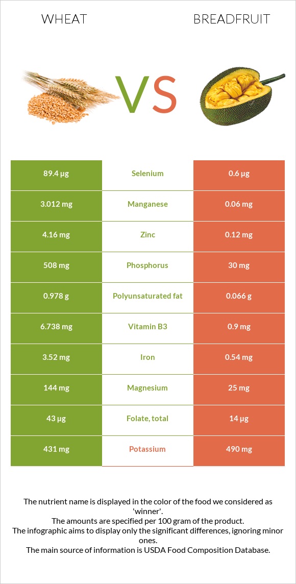 Wheat  vs Breadfruit infographic