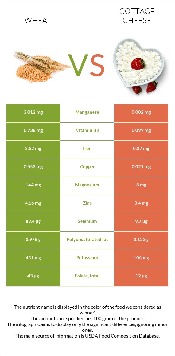 Wheat  vs Cottage cheese infographic