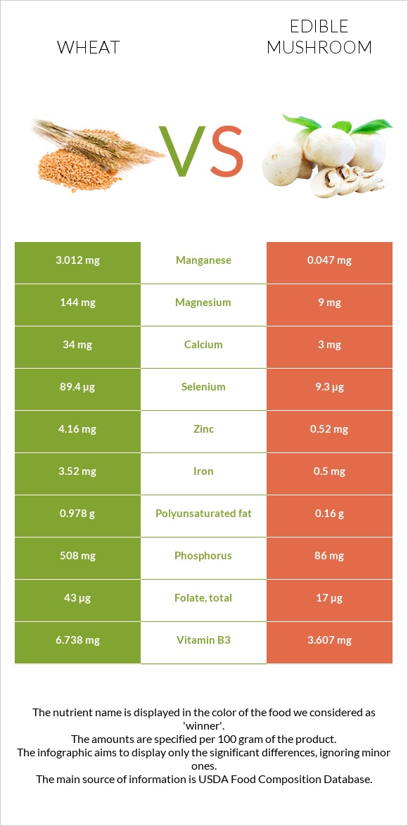 Wheat vs Edible mushroom infographic