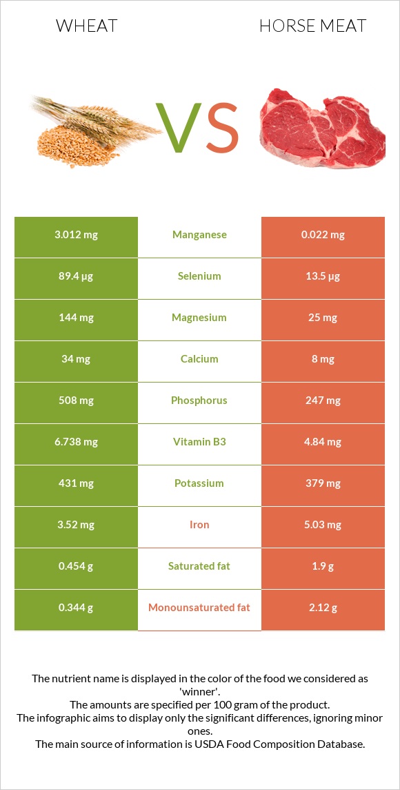 Wheat  vs Horse meat infographic